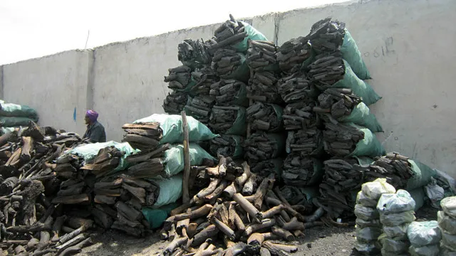 Наилучшие рекомендации: уголь для барбекю/натуральный