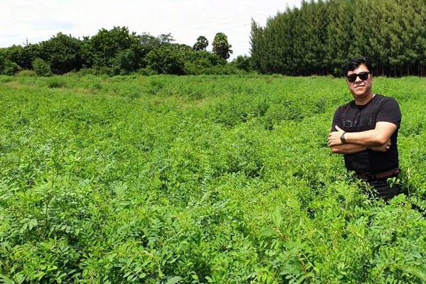indigo farm 3.jpg