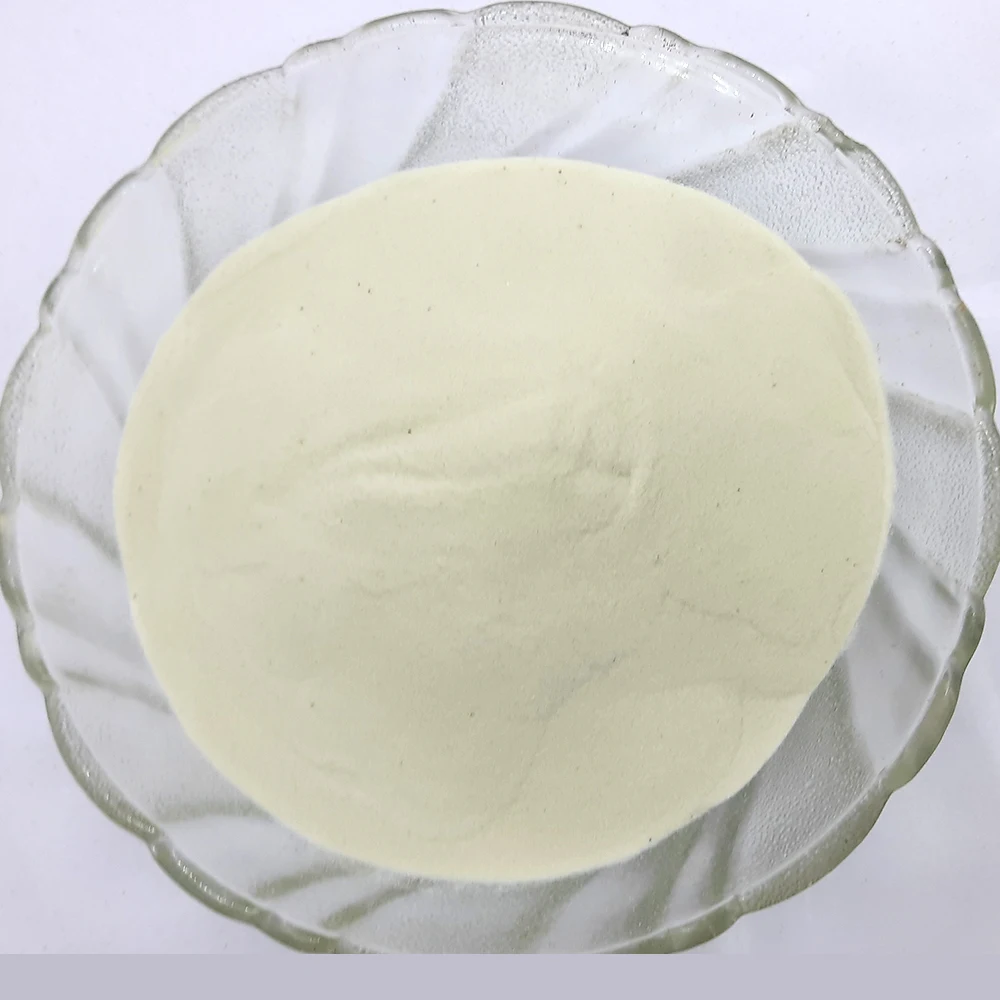 Serrapeptase 2400 IU Food Powder Enzymes