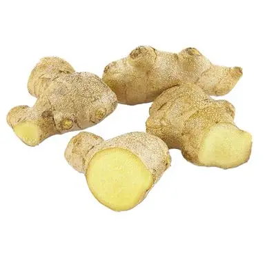 Brussels sprouts High Quality Wholesale High Quality Brussels Sprouts For Sale