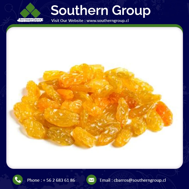 
High Quality Best Seller Factory Price Wholesale Golden Raisins for Sale 