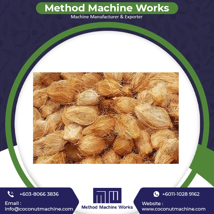 Bulk Supplier Dehusked Coconuts for Sale Cheap Price Young Coconut Dehusking