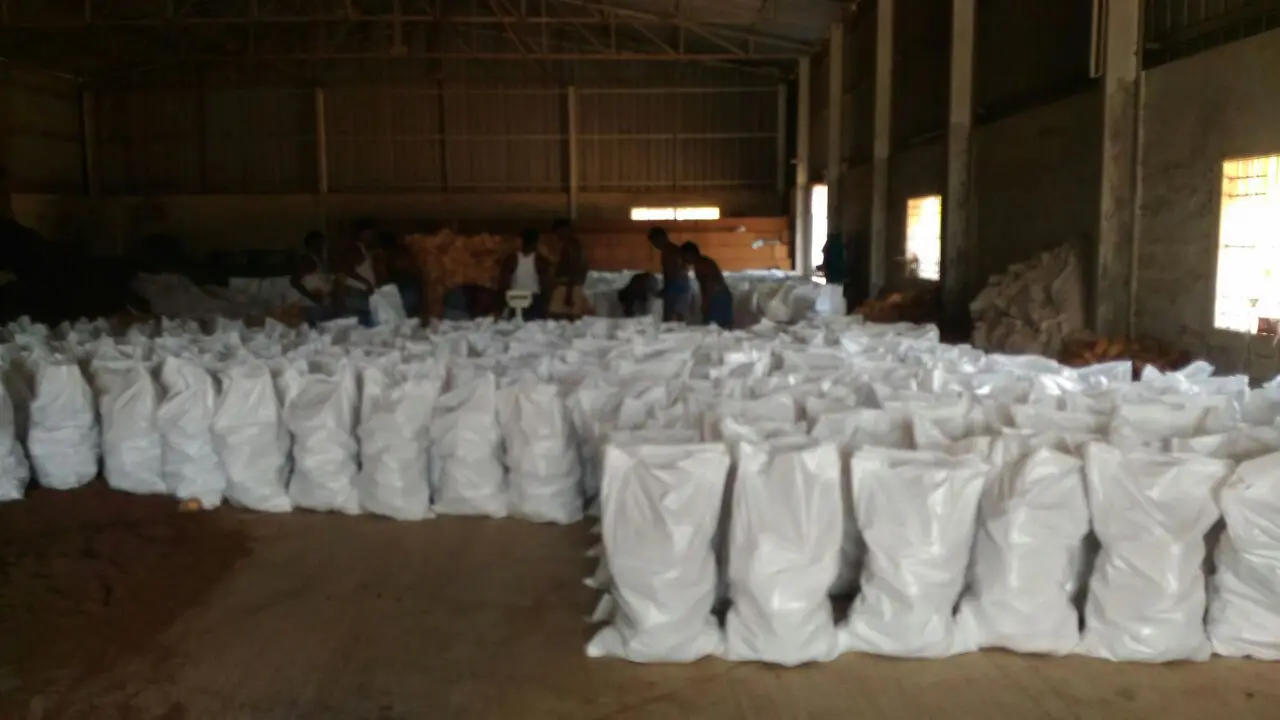 brazil nut / Coconut / semi husk coconut  we supply mature nuts  with regular packing and customised packing