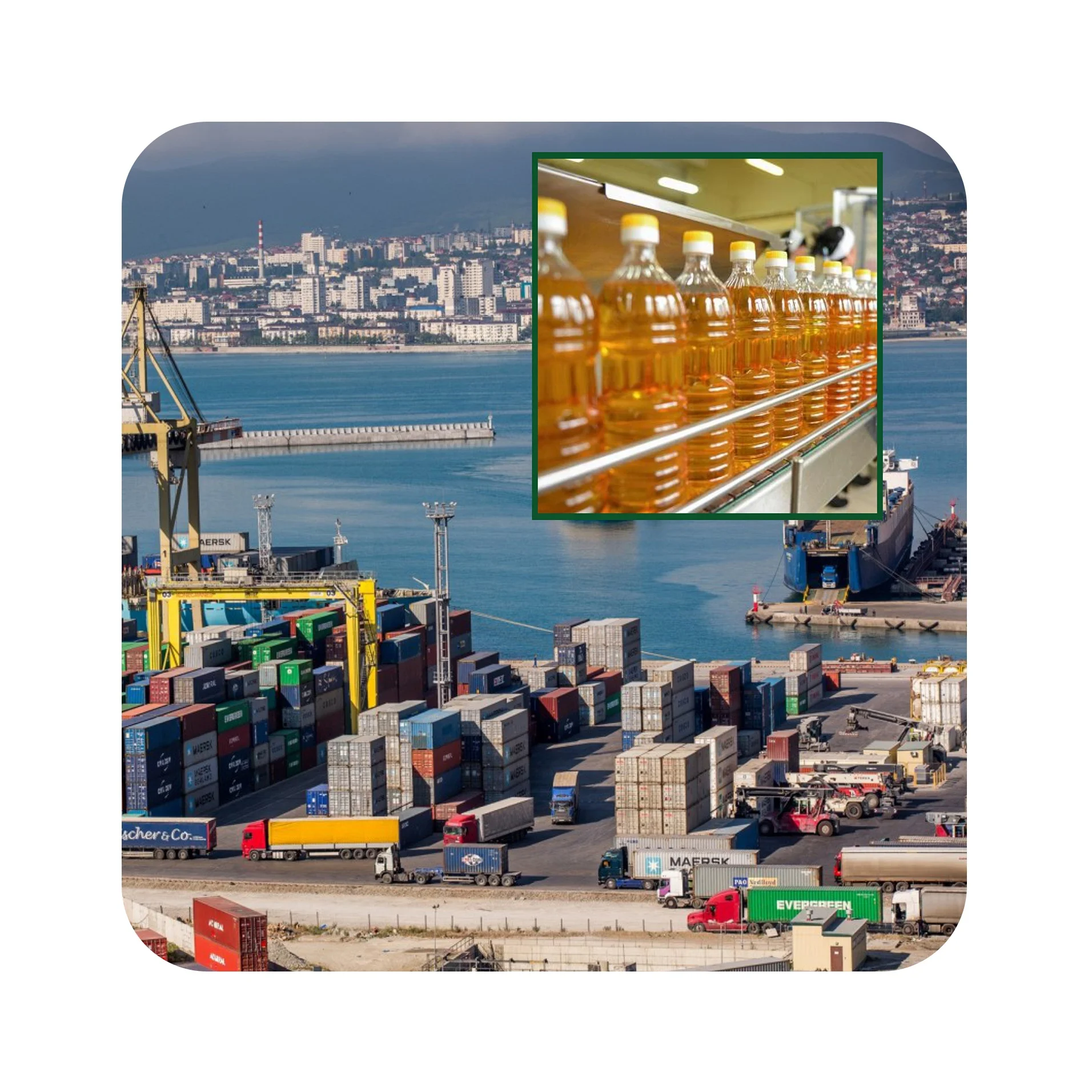 Качественное подсолнечное масло в бутылках на 1/3/5 литра от производителя