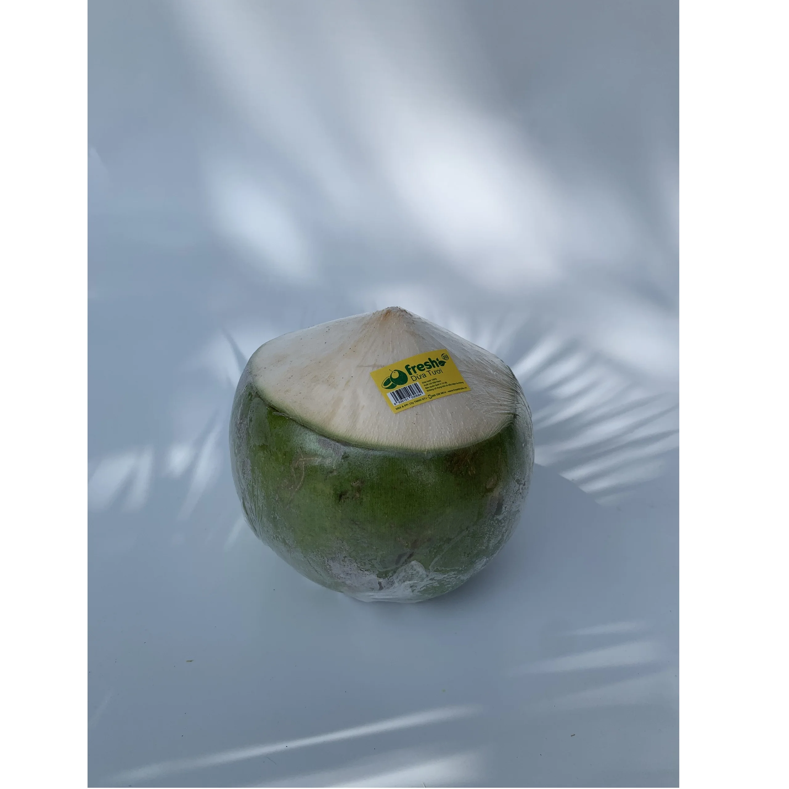 
Young Coconut Cling film wrap Packing Green or red Colours Hat Cut Shape Coconut expoter from Vietnam 
