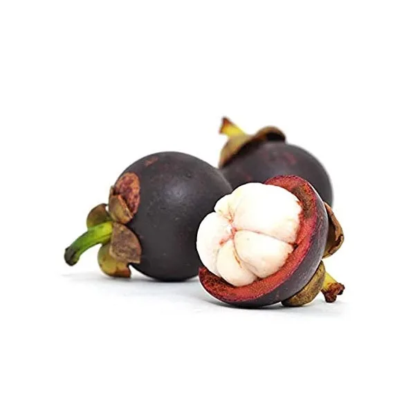 WHOLESALE VIETNAM FRESH MANGOSTEEN FOR IMPORTERS / WHATSAPP +84 845 639 639
