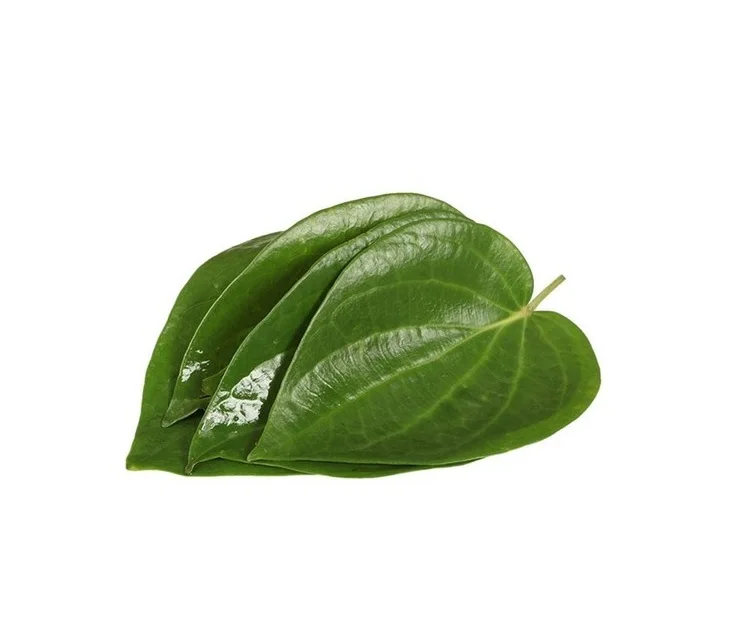 Indian Betel Leaves wholesale high quality indian exporters bulk fresh best price good quality vegetables fresh