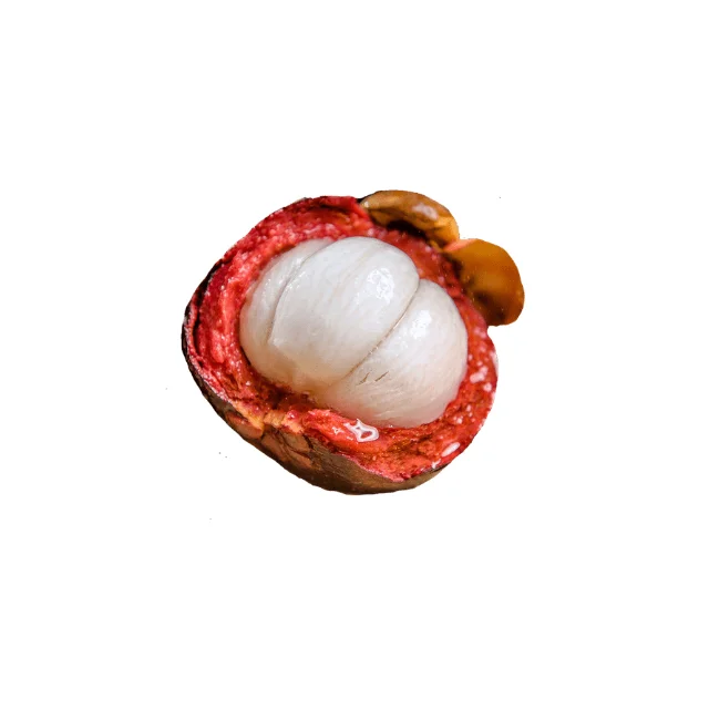 
Premium Quality Grade A Fresh Mangosteen for Market Sale Whatsapp +62 87878942750 