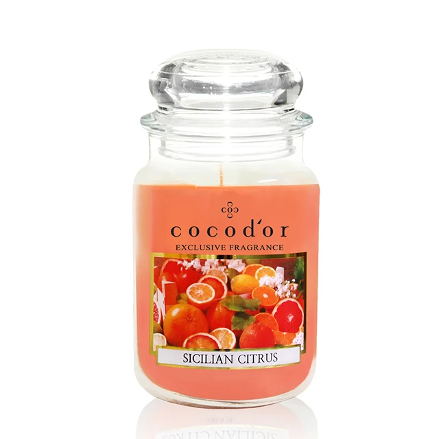 cocodor scented Large glass jar candles, Winter Jasmine