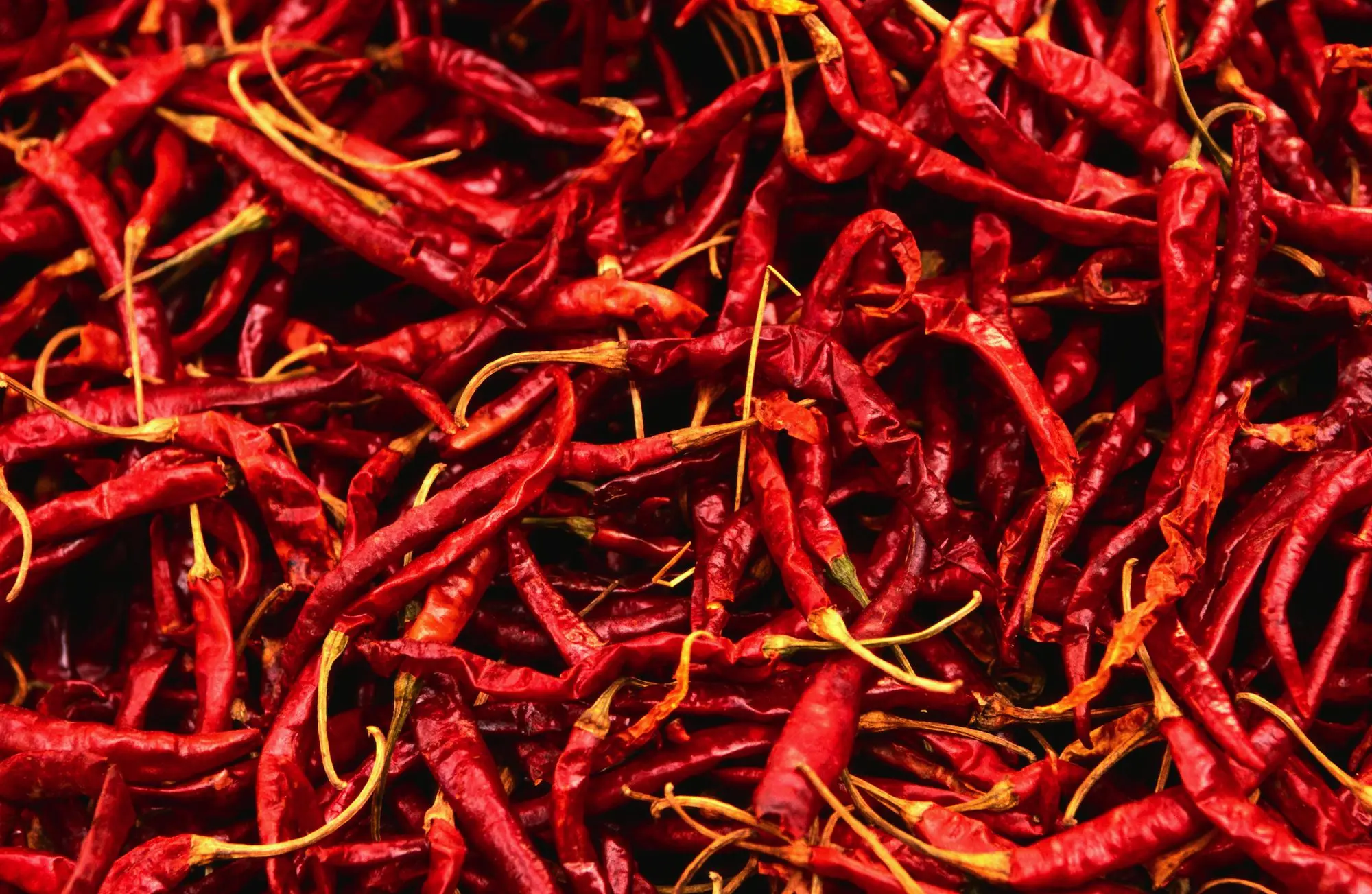 [PREMIUM QUALITY] DRIED RED CHILLIES FOR EXPORTING FROM VIETNAM - COMPETITIVE PRICE - Ms. Ahri +84 328334958 whatsapp
