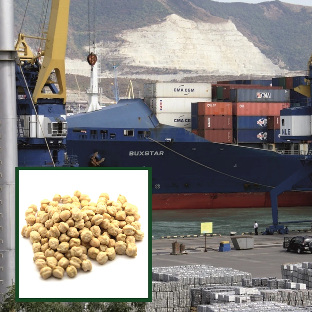 Organic dried kabuli chickpeas big bag, product of Russia