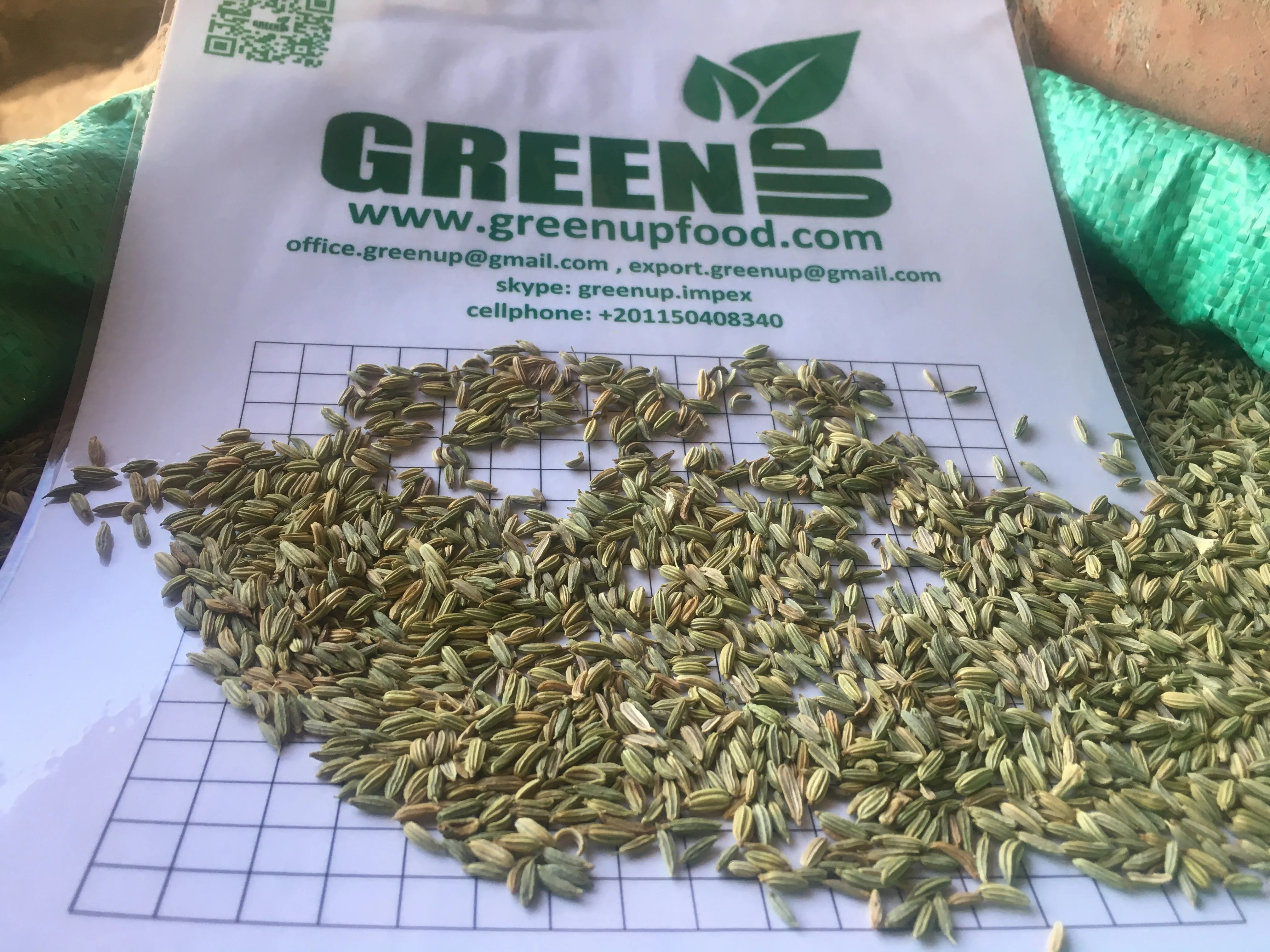 fennel seeds Foenniculum vulgare  high quality green color no much halves no stem no small seeds no empty seeds fresh crops