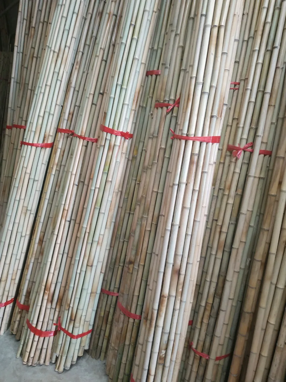 
Raw Bamboo Poles - Kiddo (+84905010988) 