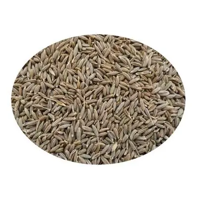 Russian Cumin Seed Exporter
