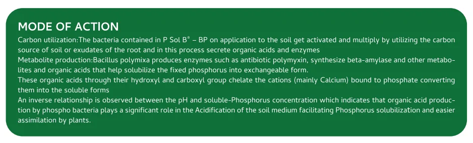 Screenshot (1146).png