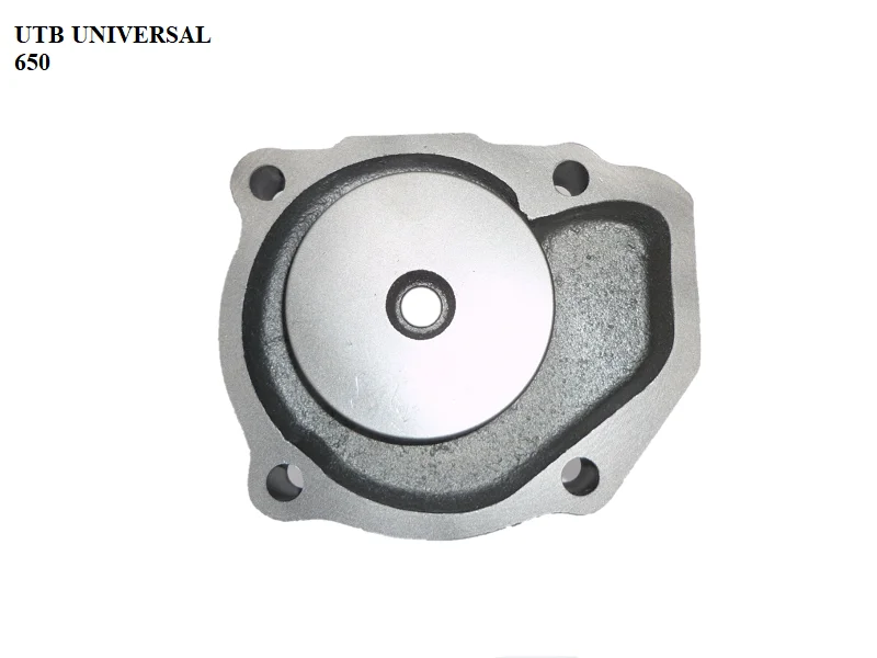 water pump for 1007000  1101307200 romania tractor