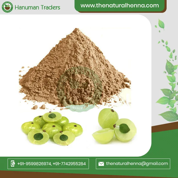 Premium Quality Natural Organic Indian Gooseberry Amla Powder For Hair Top Quality Bulk Supplier From India
