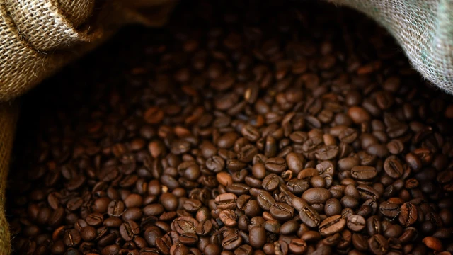 Caffe Bonito Arabica blend 250 gr. Ground Coffee - Medium Roasted Ground Coffee Vacuum Packed