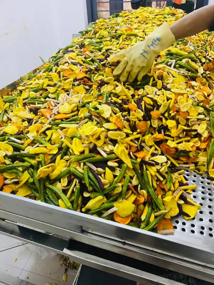 Вьетнамские продукты для овощей-смешанные Обезвоженные Фрукты и овощи