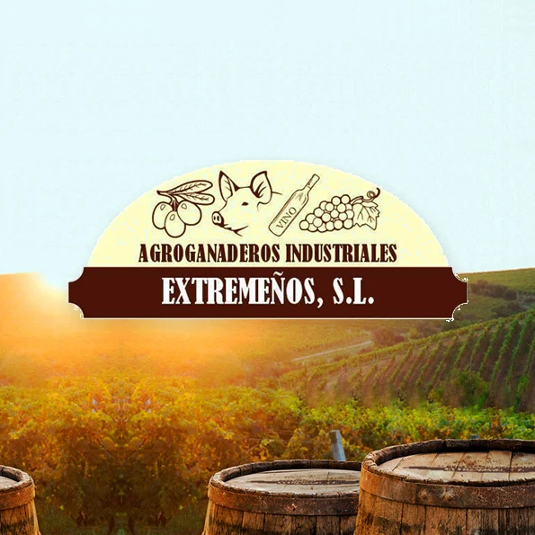 
Оптовая продажа, настольное белое вино, компания agroganadanos из Испании 