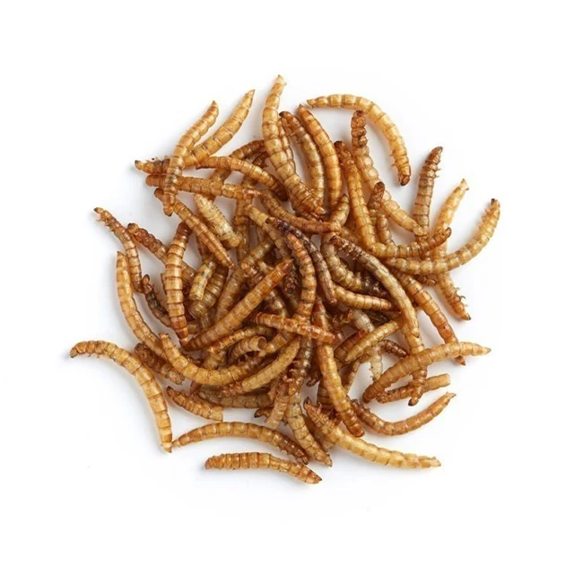 TOP QUALITY DRIED MEALWORM FOR PET SNACK - MS. ELAINE +84 375 431 541