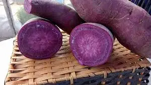 Fresh Purple Sweet Potato/ Whatsapp +0084 845639639
