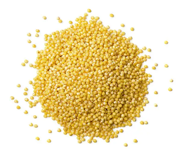 Low Price Good Quality Millet Wholesale Millet