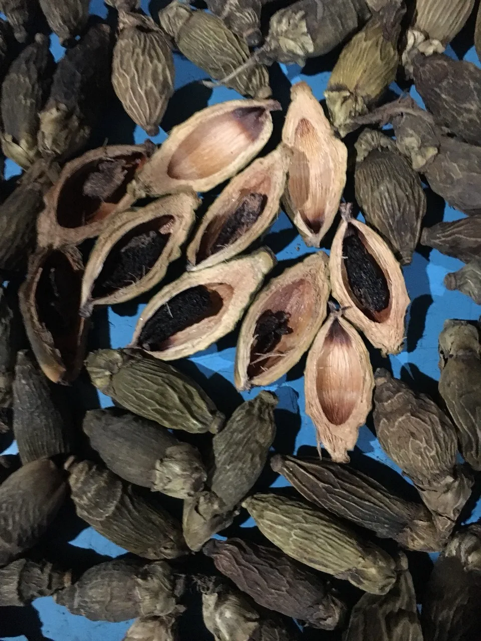 Низкая цена молодой орех betel/молодой сушеный areca из Вьетнама-Lina + 84 896 625 614