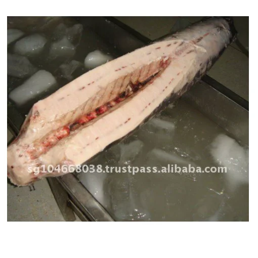 Frozen Fish Fresh Tilapia Supplier Block Bulk Style Packaging Package Weight Lbs Shelf Origin FROZEN SWORDFISH DWT (BELLY OFF)