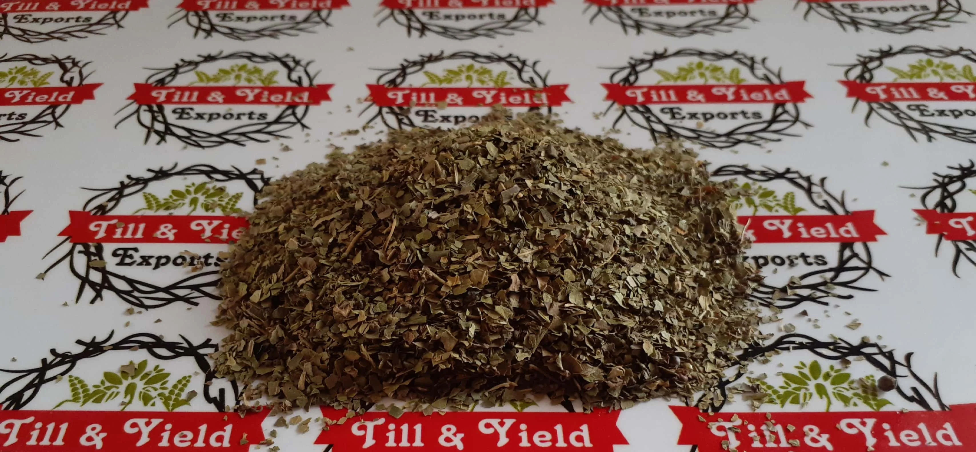 High Pure Dried Herbal Gymnema Sylvestre Tea indian origin best quality leaves Tea Bag cut size 0.5-4mm