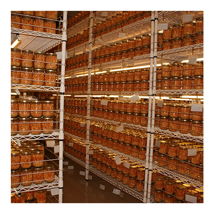 
Natural Nutritional Supplements Cordyceps Militaris Dried Whole Part 