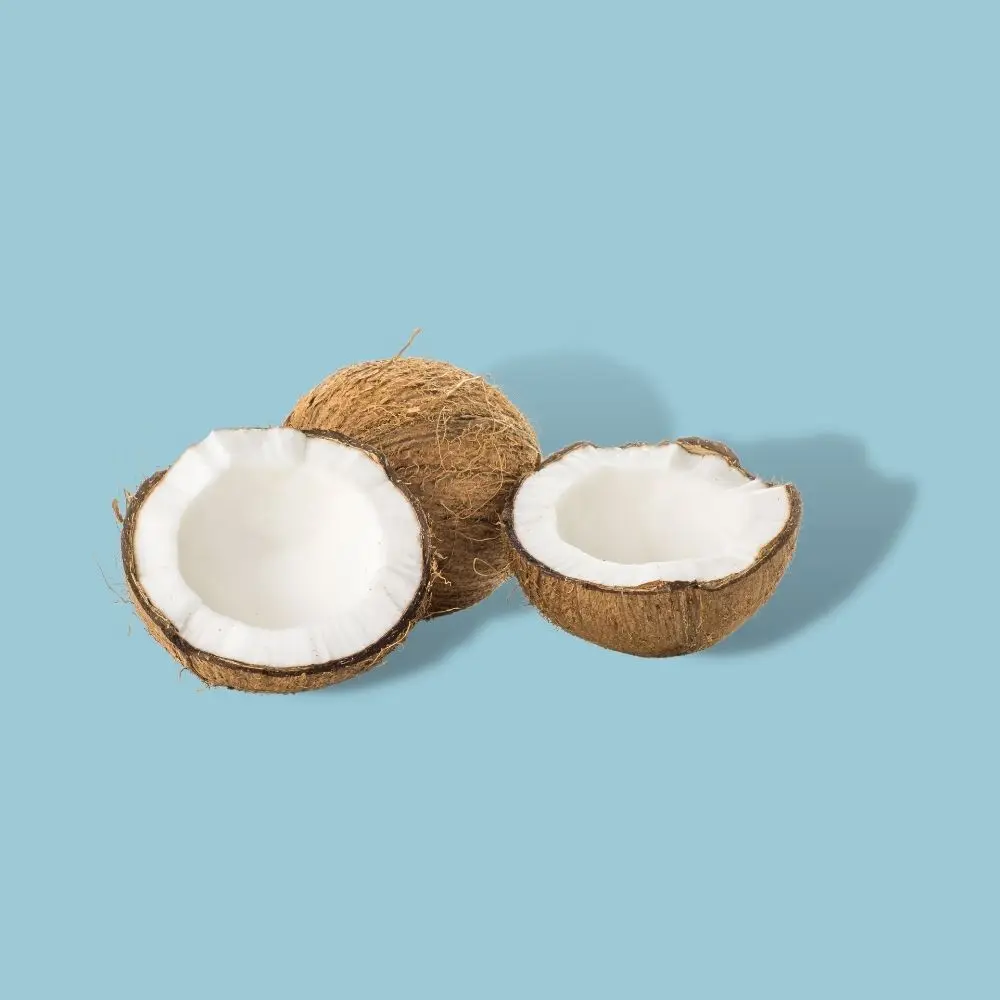 Оптовая продажа сушеные кокосы с высоким содержанием жира закуски низким вьетнамский Сушеный кокос