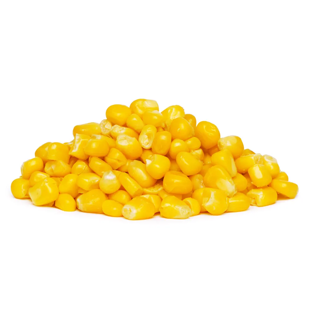
High quality organic corn grain, agriculture product 
