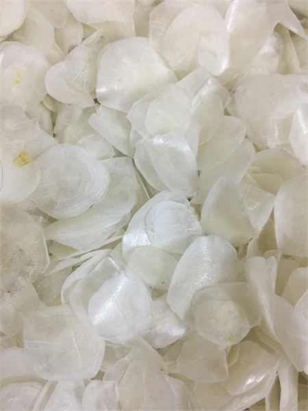 Производство коллагеновых рыбных чешуек оптом чешуевые чешуи для рыбы из Вьетнама Экспорт Китая Кореи Японии ....