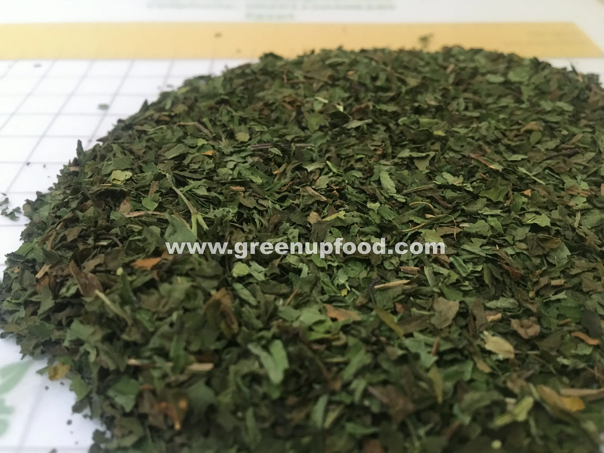 spearmint  leaves green color no ash content no admixture no black leaves  no impurities fresh crops Menthae piperitae