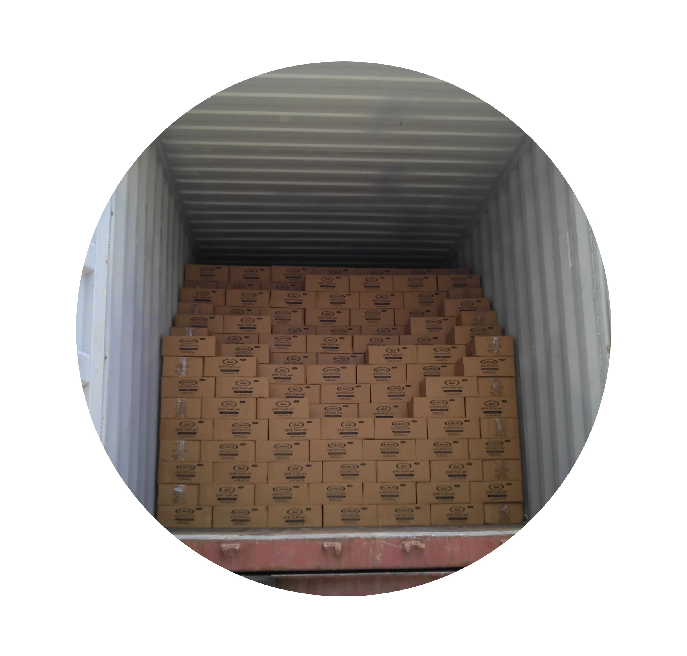 Canned tuna chunks in vegetable oil