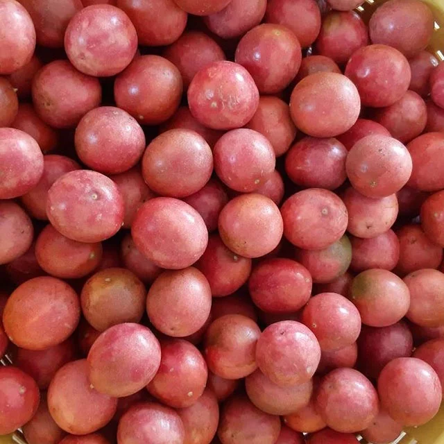 Passion Fruit Fresh from Thailand