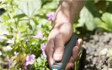 Hy-Ray Singapore: Garden Tools Comfortable Handling Corrosion Protection FLOWER FORK G-8952 From Germany