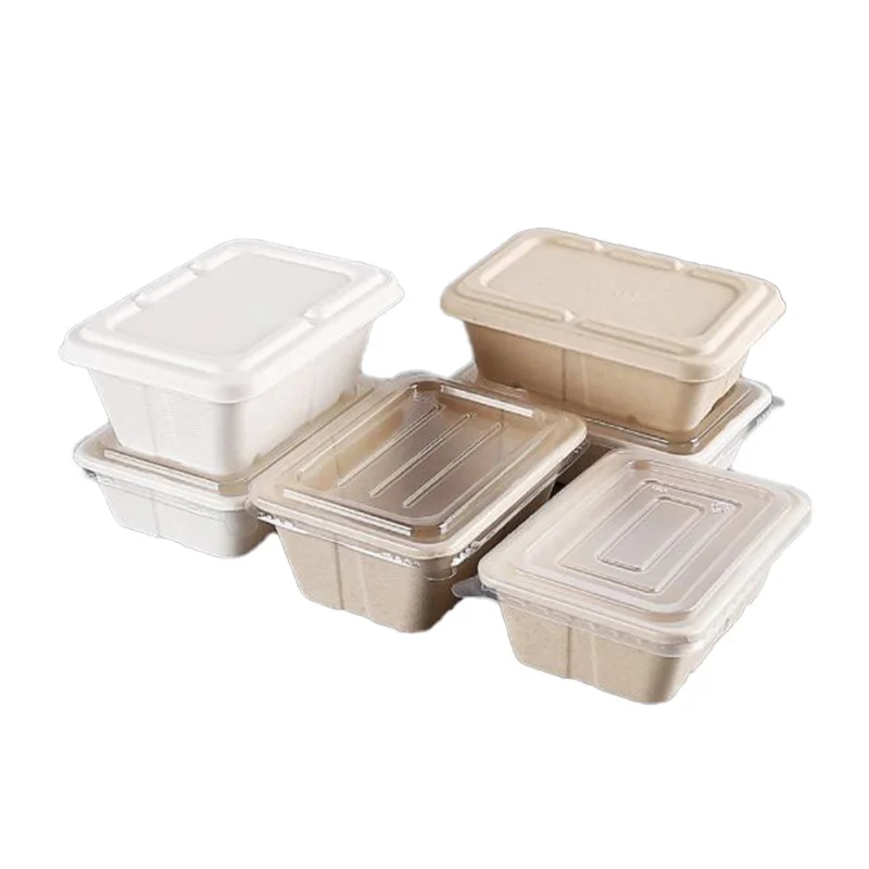 750ML Eco-friendly Biodegradable Disposable Bagasse Bento Lunch Box To Go Food Container for Meal
