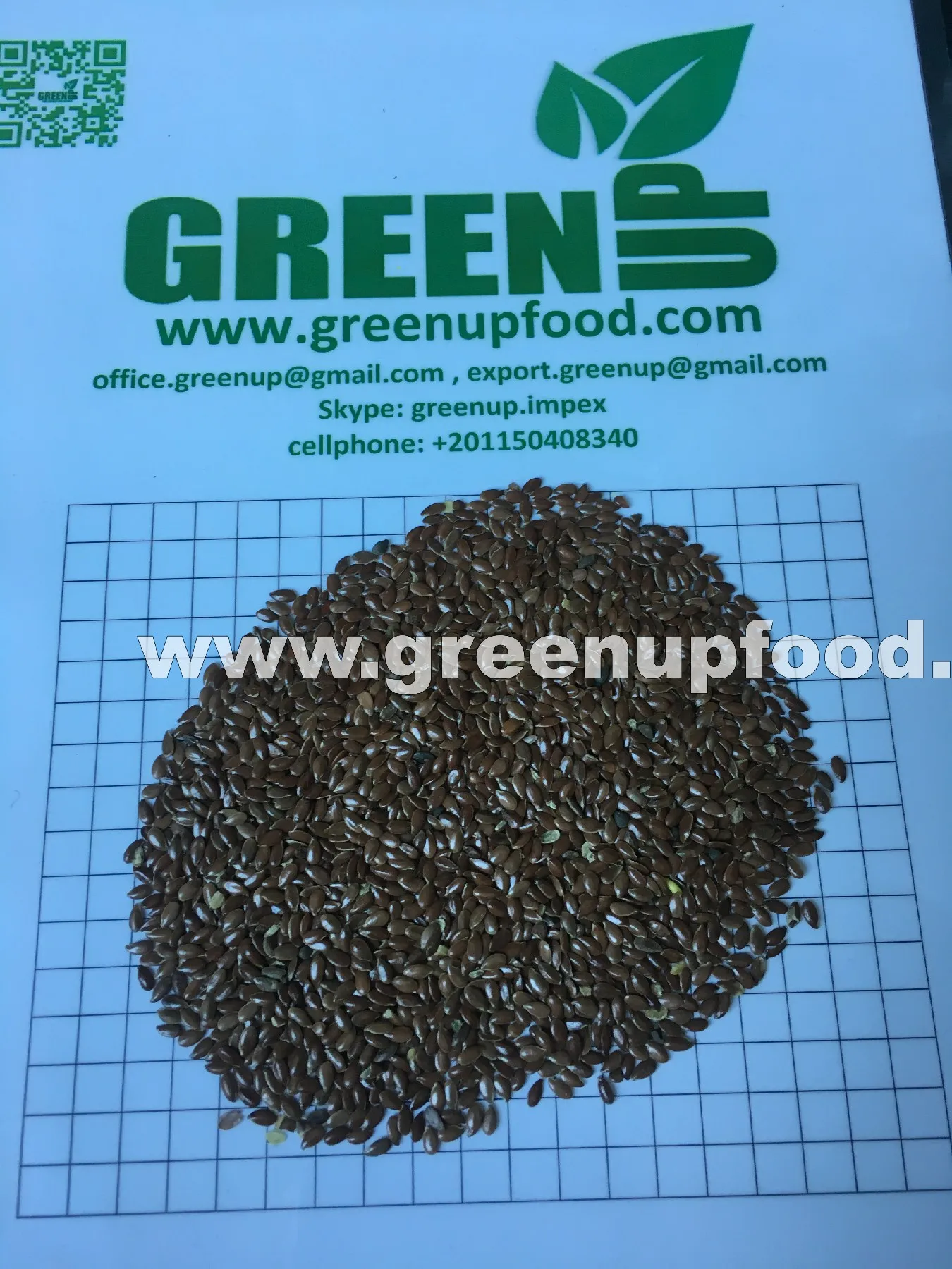 flax seeds Linum usitatissimum good quality high oil content natural color