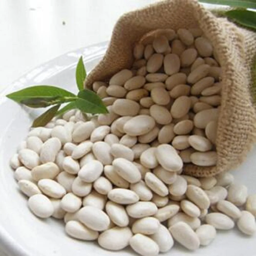 black kidney bean Beans in thailand with good price