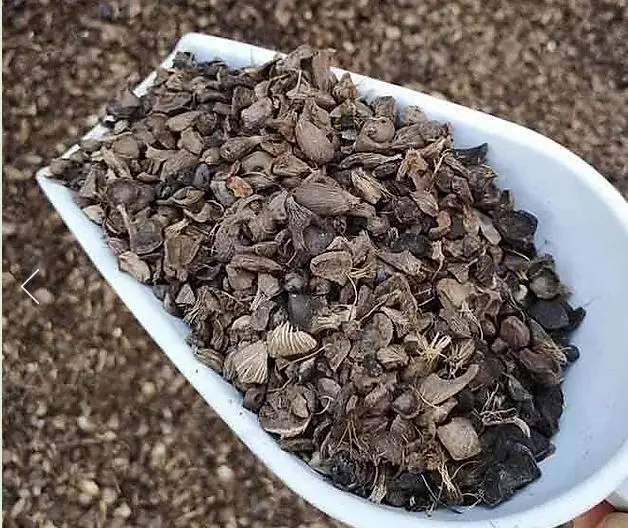 Top Grade Agricultural  Palm Kernel Shell With 11 - 15% Moisture For Competitive Price