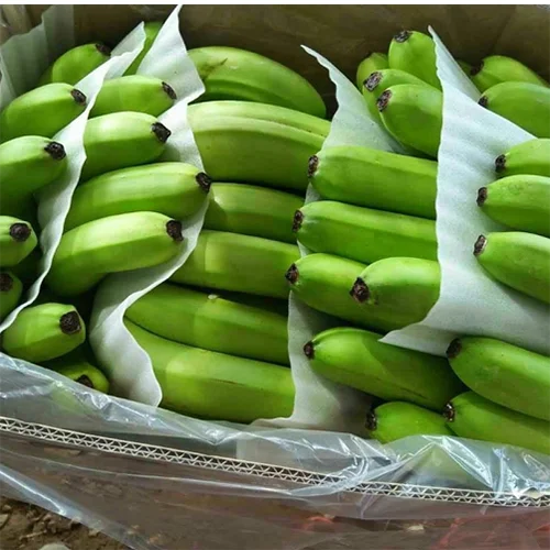 Hot Selling Tropical Cavendish Banana