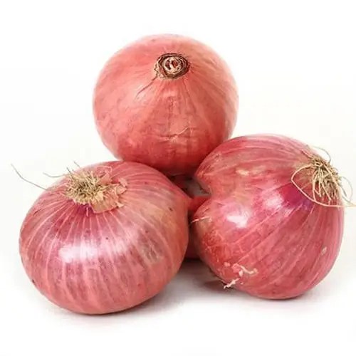Wholesale Fresh Farm Red Onions Gluten Free Exporters / Big Onion for Export