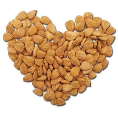 Organic Sweet Apricot Kernels