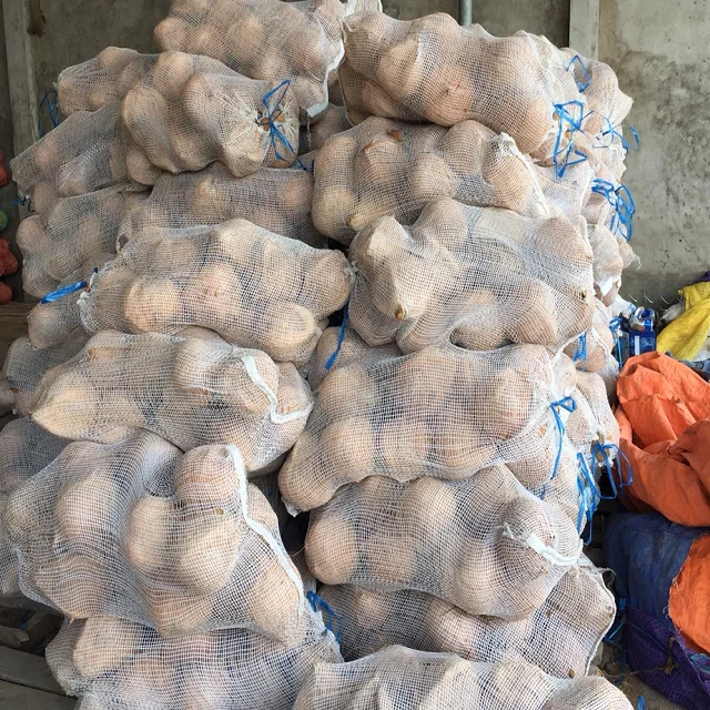 Vietnam Semi husked Coconut with the best price whatsapp +84902948089