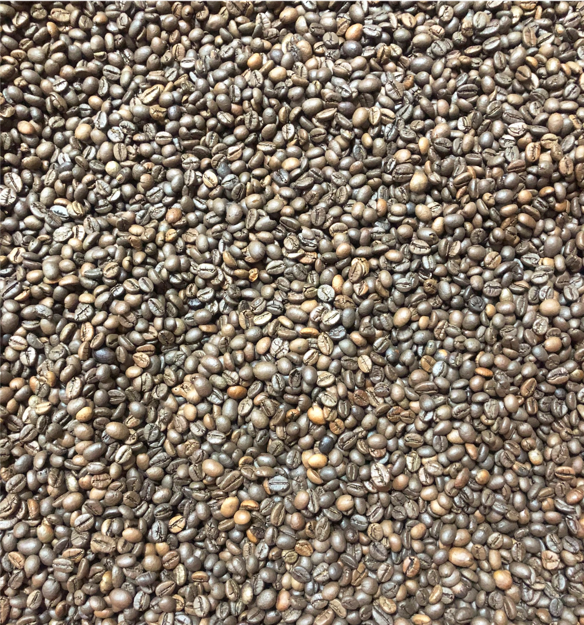 Упаковка в сумке 500gr 12 месяцев срок годности горячего воздуха тип обжарки 100% робуста s18-робуста s18 в зернах из Вьетнама