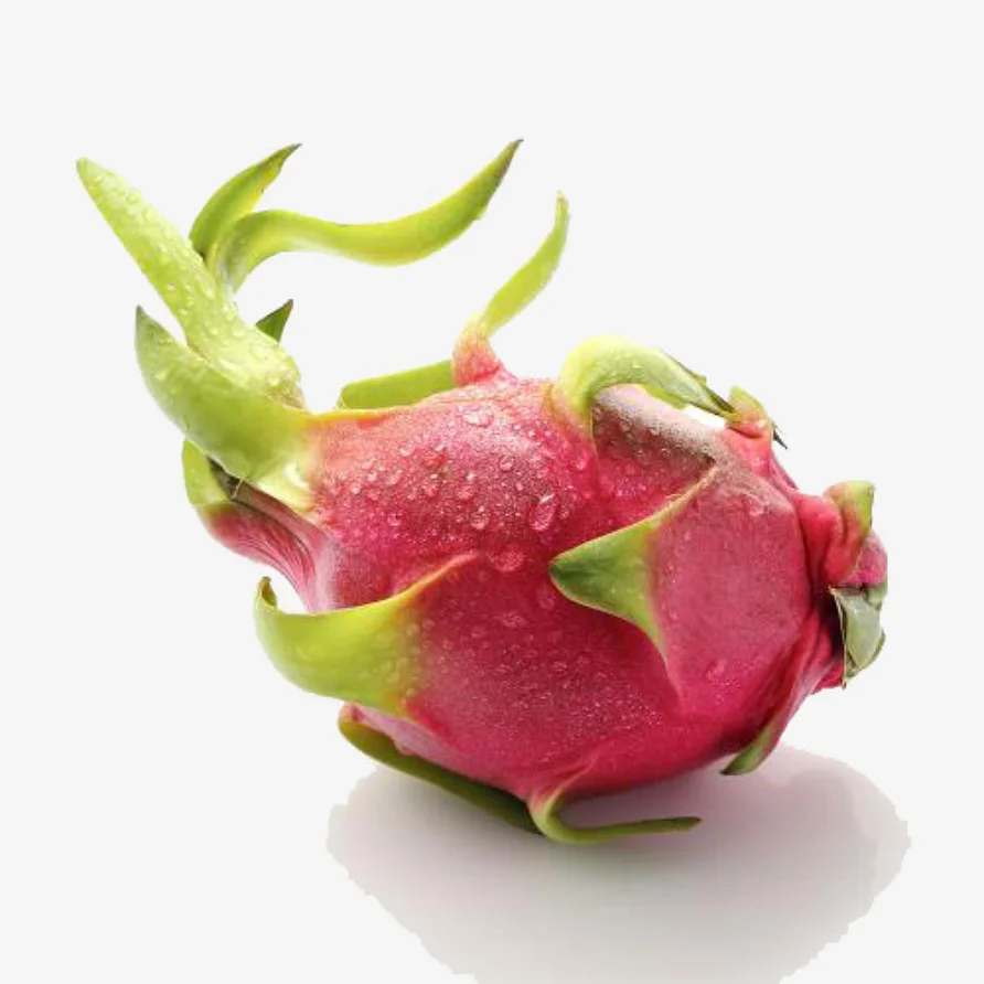
Wholesale for Vietnam Fresh Dragon Fruit - Sweet Dragon Fruit at Cheap Price 