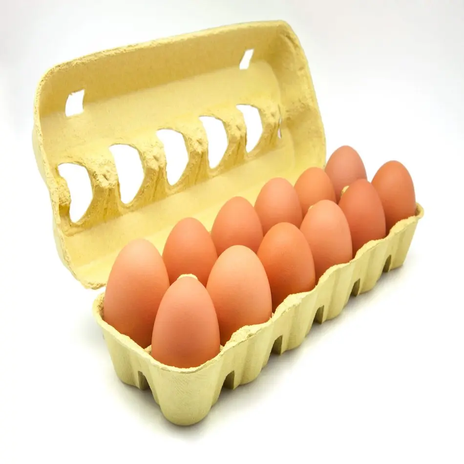 Farm Fresh Eggs For Sale