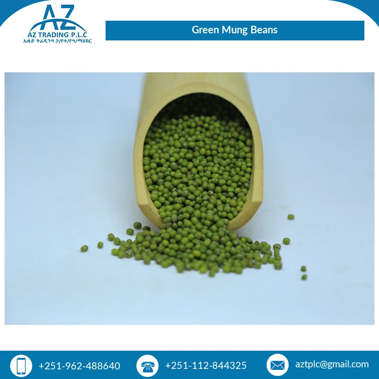 Premium Quality Wholesale Supply Best Selling Natural Fresh Ethiopian Green Mug Beans at Best Price